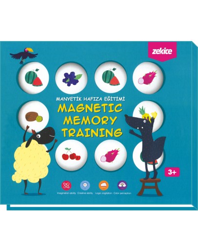 Magnetic Memory Training